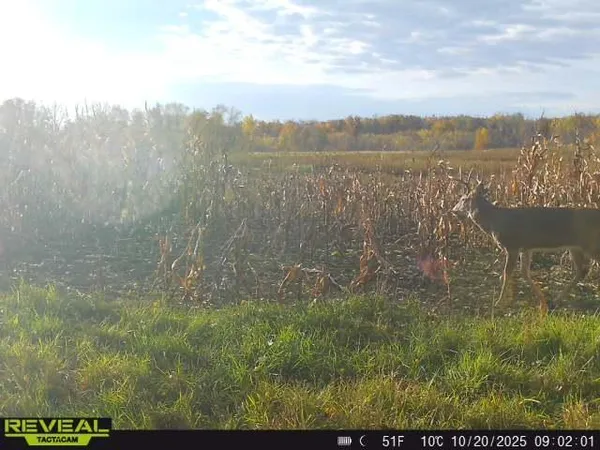 $799,900 | 3231 Highway 65, Mora, MN 55051