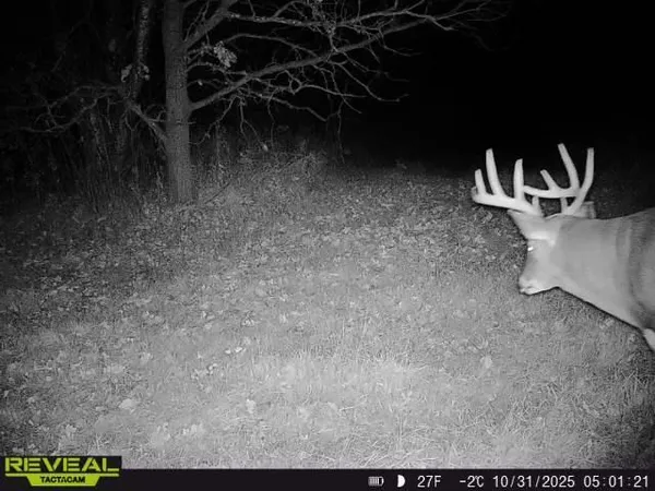 $799,900 | 3231 Highway 65, Mora, MN 55051