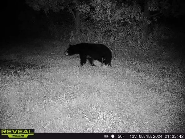 $799,900 | 3231 Highway 65, Mora, MN 55051