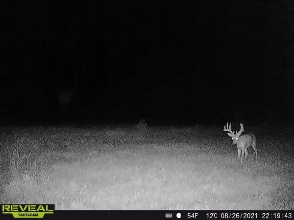 $799,900 | 3231 Highway 65, Mora, MN 55051