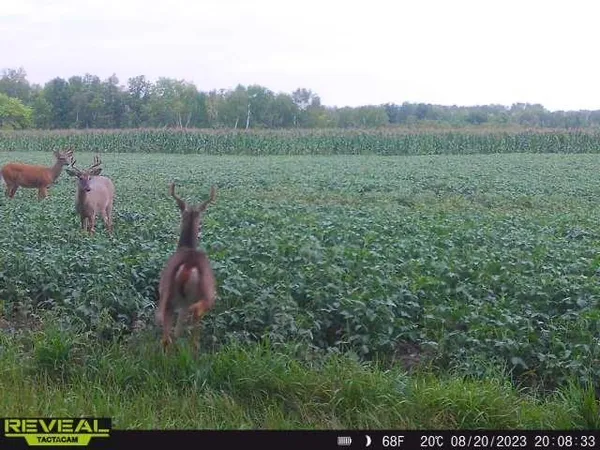 $799,900 | 3231 Highway 65, Mora, MN 55051