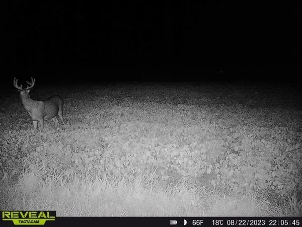 $799,900 | 3231 Highway 65, Mora, MN 55051