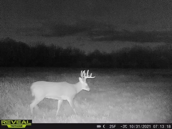 $799,900 | 3231 Highway 65, Mora, MN 55051