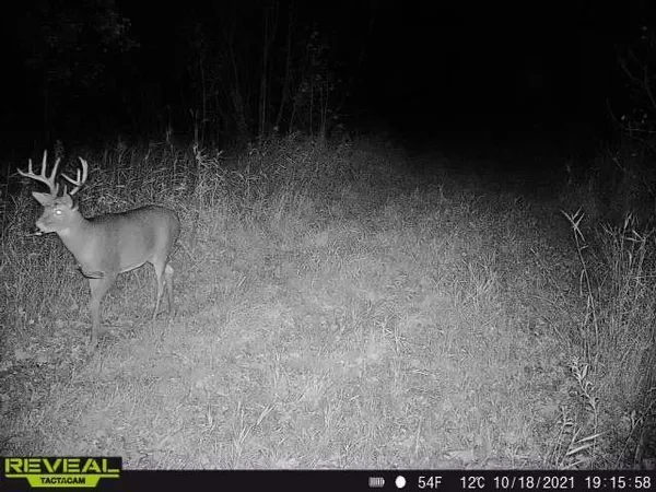 $799,900 | 3231 Highway 65, Mora, MN 55051