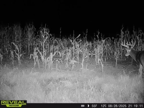 $799,900 | 3231 Highway 65, Mora, MN 55051