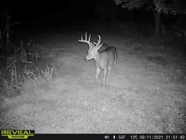 $799,900 | 3231 Highway 65, Mora, MN 55051