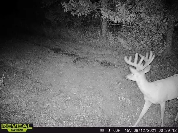 $799,900 | 3231 Highway 65, Mora, MN 55051