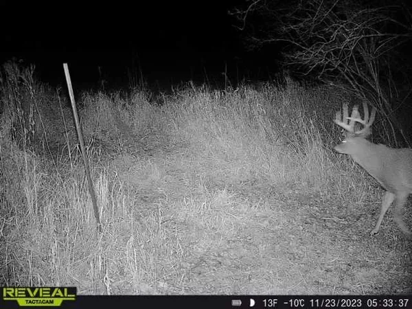 $799,900 | 3231 Highway 65, Mora, MN 55051