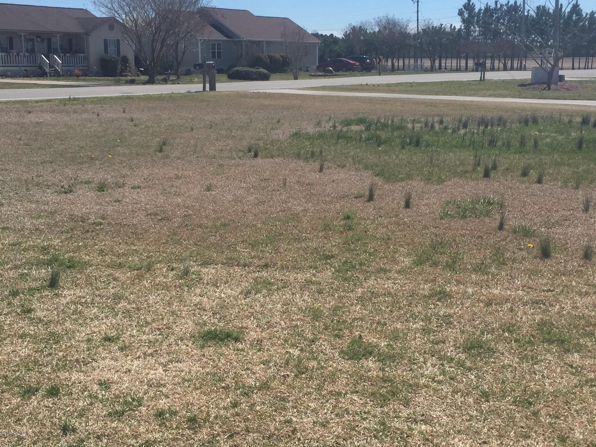 495 Newport Loop Road Newport, NC 28570 - Photo 6 of 7 Front yard