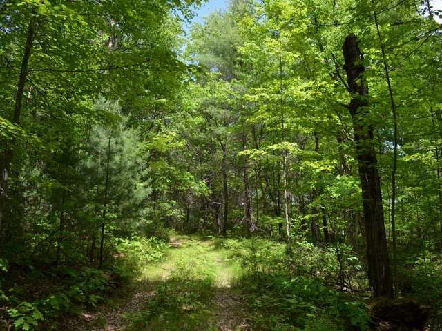 W5196 Jelinek Road Tomahawk, WI 54487 - Photo 10 of 20 Gallery Image 10