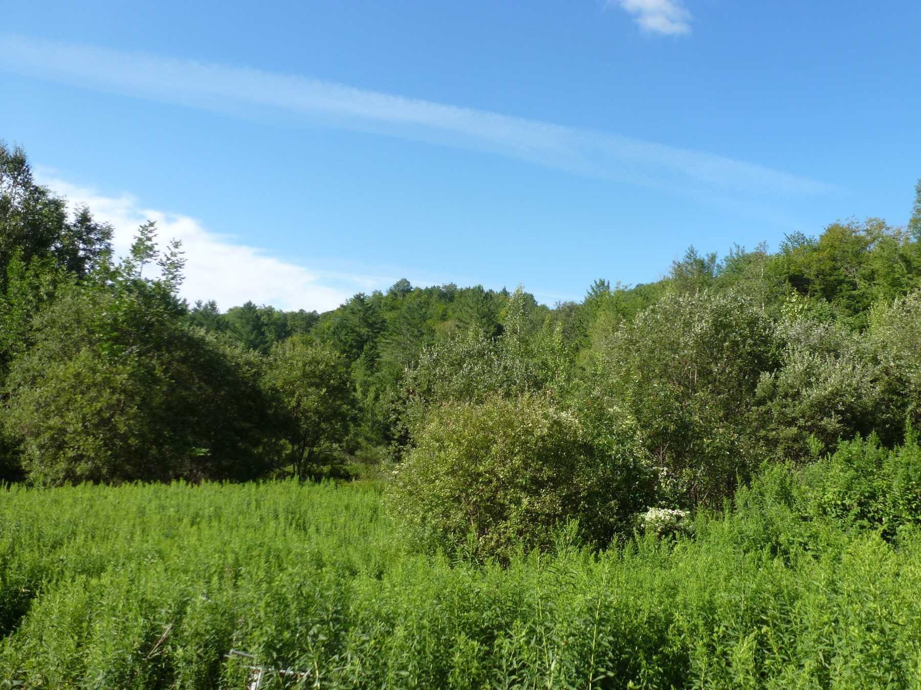 0 Salaki Road Moretown, VT 05660 - Photo 1 of 4