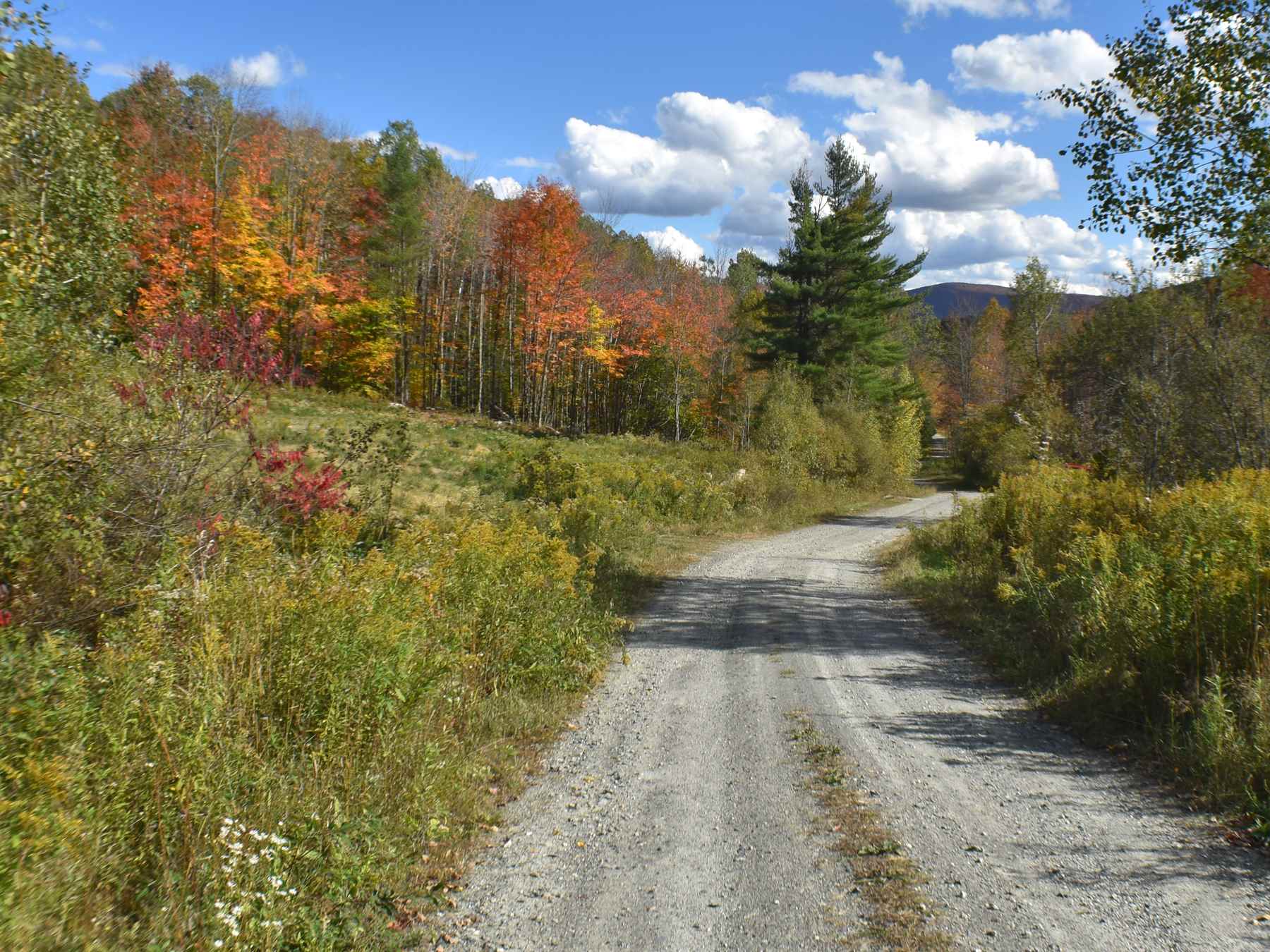0 Salaki Road Moretown, VT 05660 - Photo 3 of 4