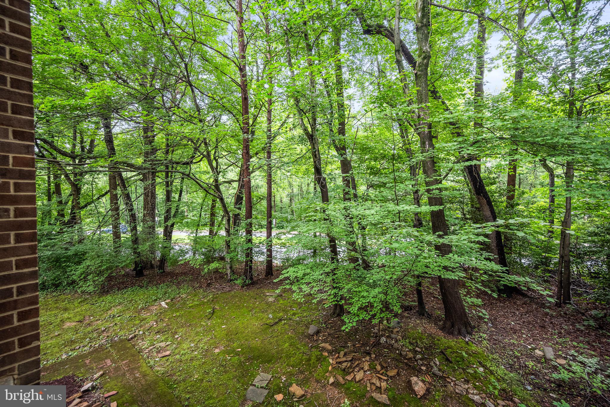 1423 Northgate Square, Unit 142311C Reston, VA 20190 - Photo 24 of 30