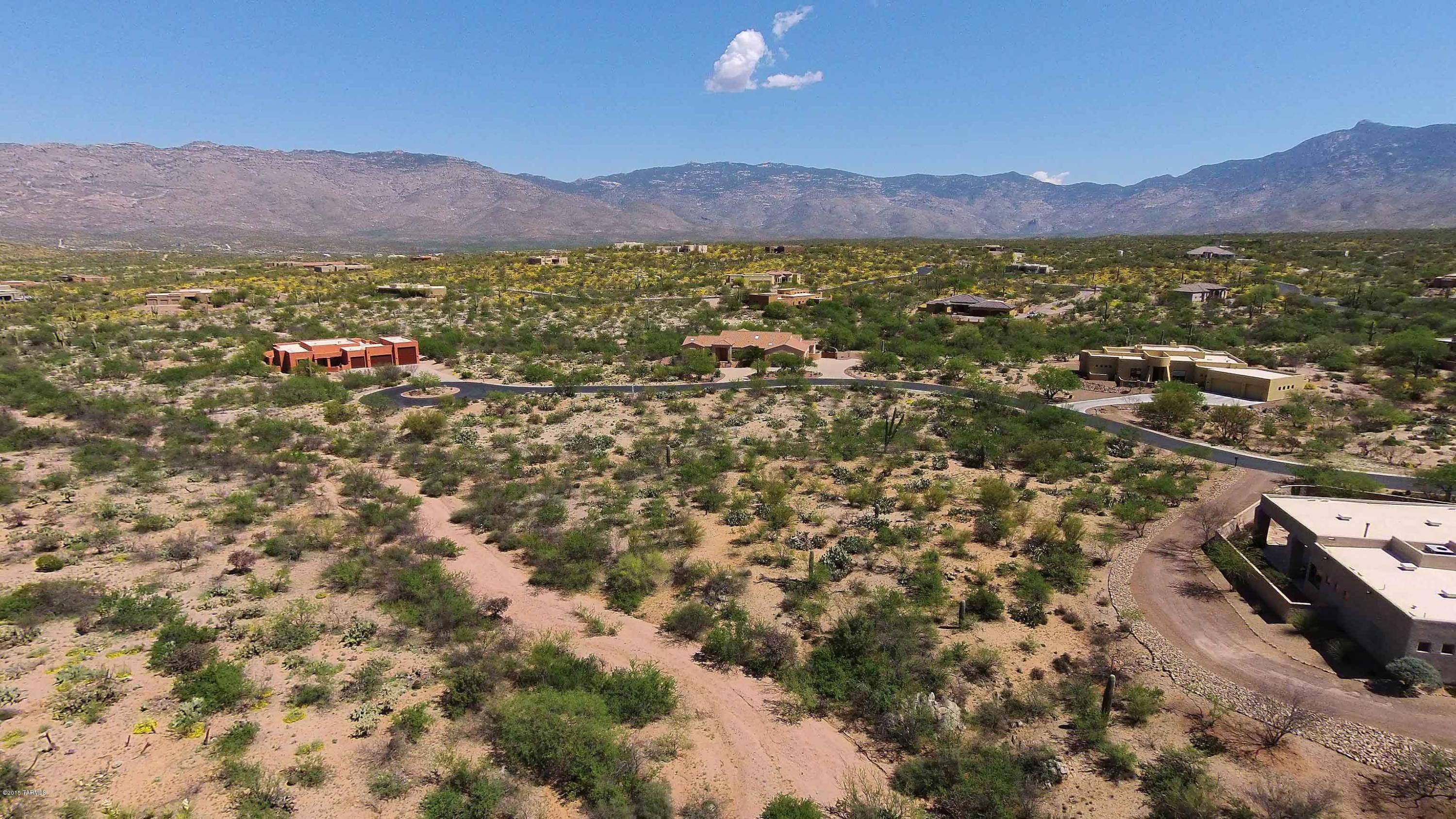 8650 East Tumbling H Ranch Place, Unit 65 Vail, AZ 85641 - Photo 3 of 9