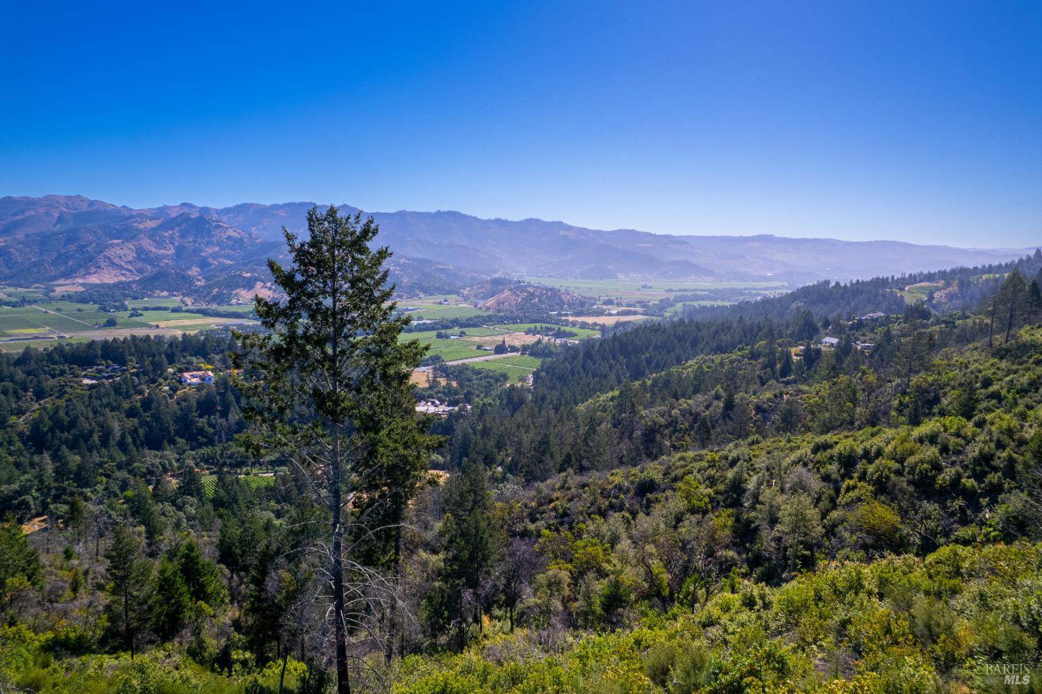 0 Diamond Mountain Road Calistoga, CA 94515 - Photo 16 of 19