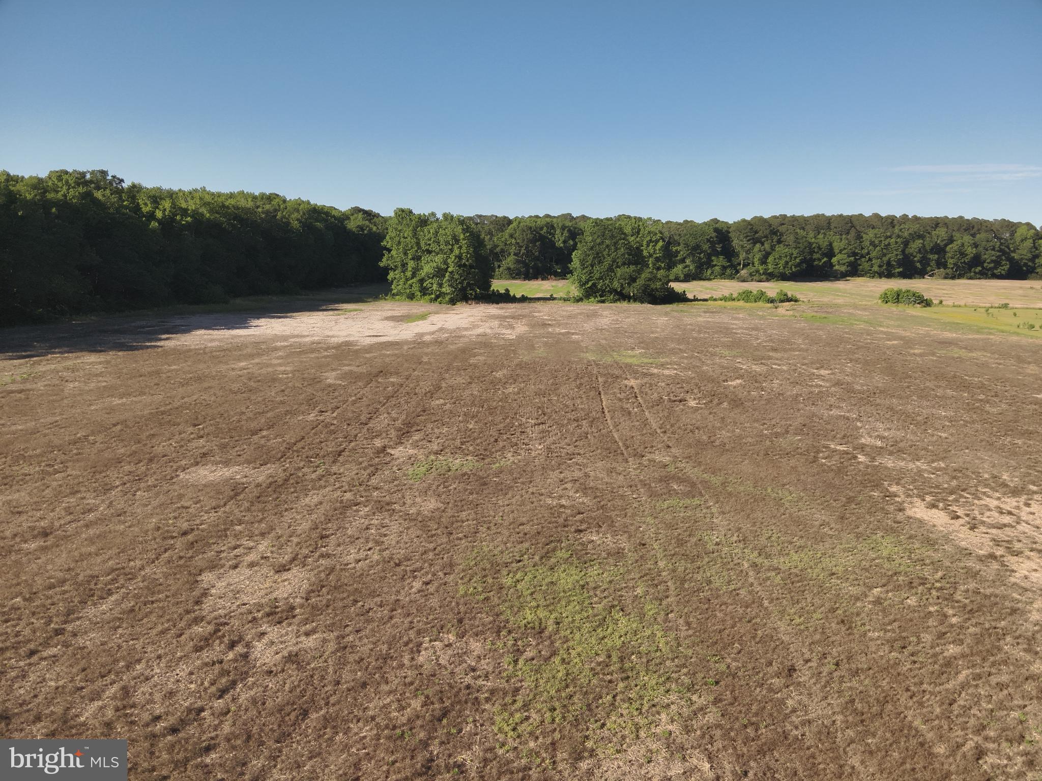 Dinges Road Berlin, MD 21811 - Photo 19 of 22