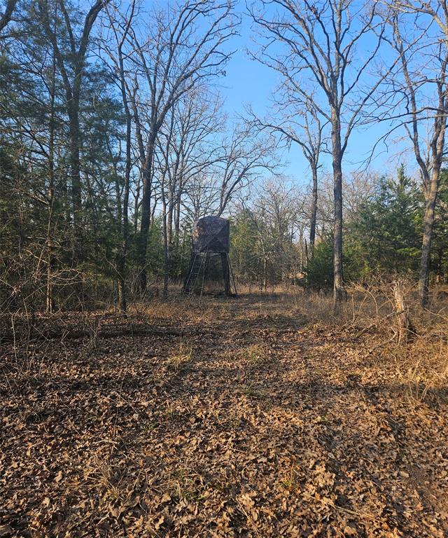 1-private 1-private 5401st Road Malakoff, TX 75148 - Photo 4 of 6 a backyard of a house with lots of green space