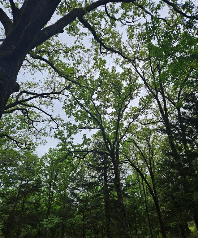 1-private 1-private 5401st Road Malakoff, TX 75148 - Photo 6 of 6 a backyard of a house with lots of green space