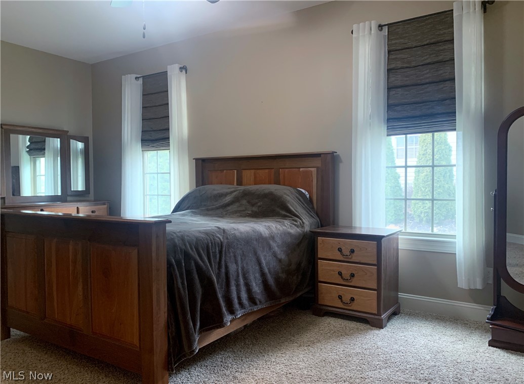 819 Brook Road Wadsworth, OH 44281 - Photo 16 of 35 First floor master with master bath, features generous sized walk in closet as well as walk in shower that is handicap friendly