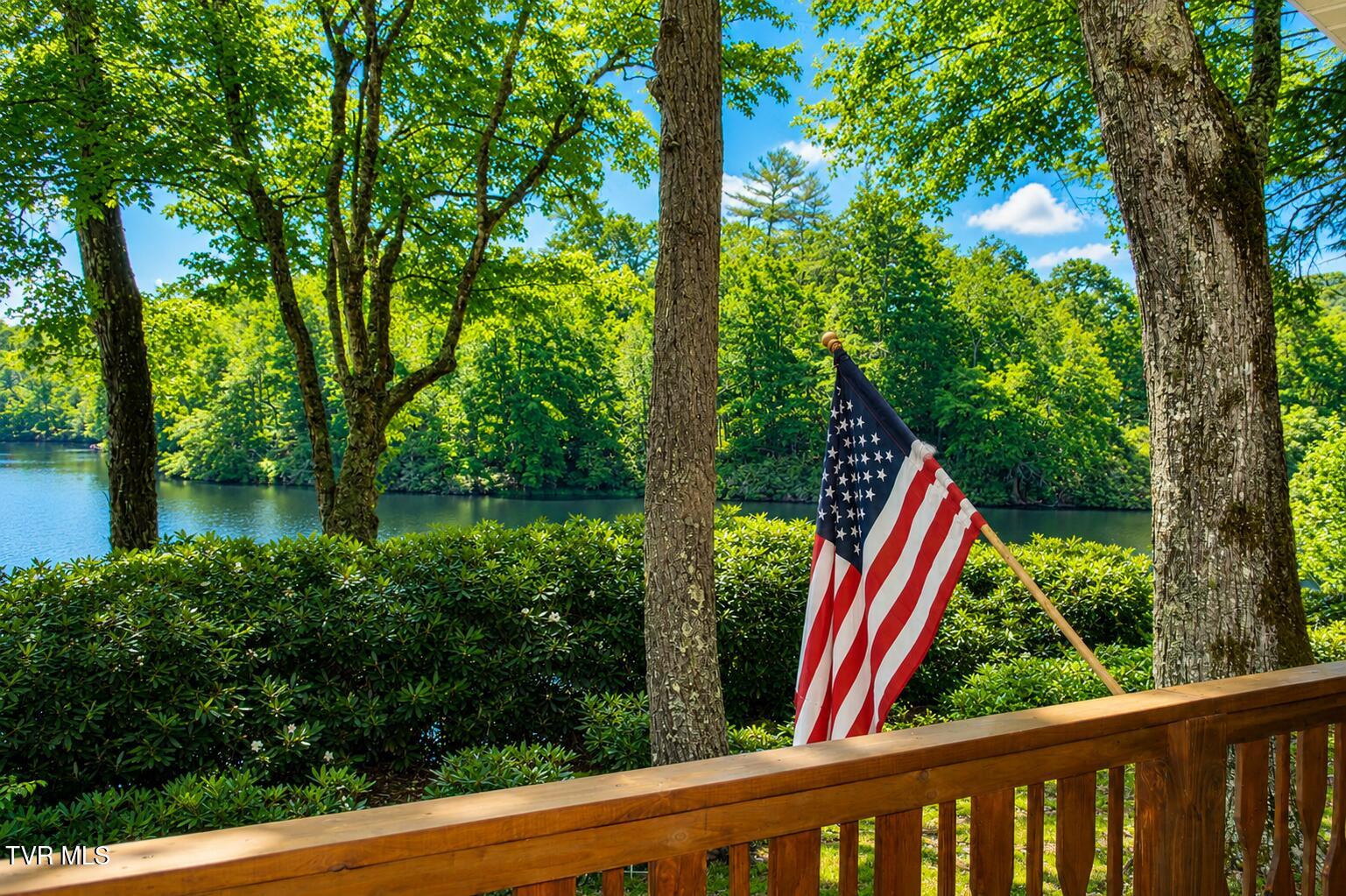 282 Ripshin Lake Road Roan Mountain, TN 37687 - Photo 6 of 72 Lake 6