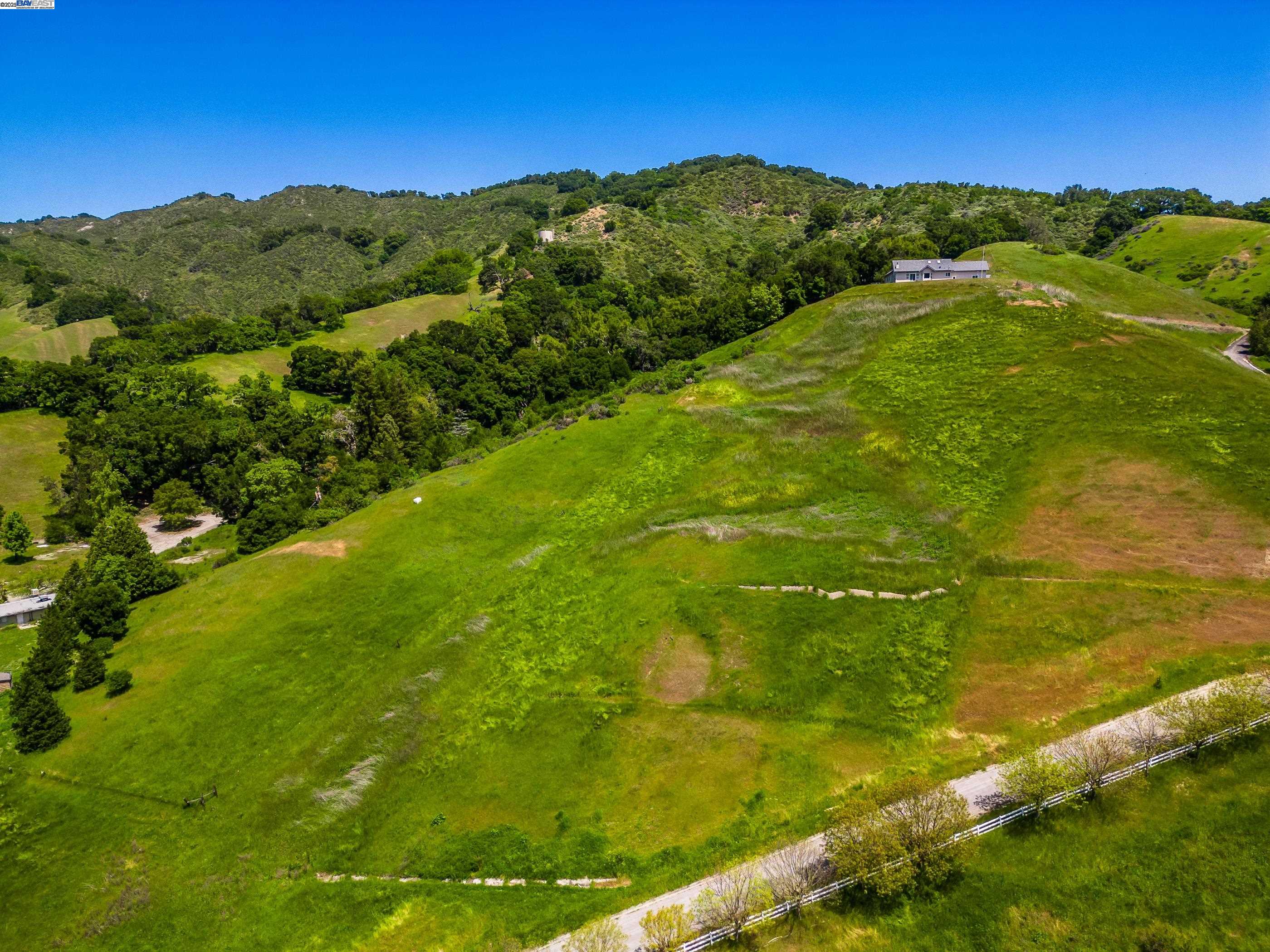 0 Bollinger Estates San Ramon, CA 94583 - Photo 12 of 17 a view of a lush green forest with trees in the background