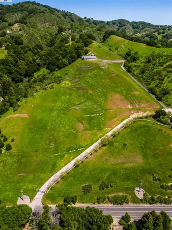 a view of a lush green forest with trees in the background
