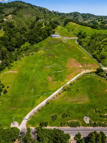 a view of a lush green forest with trees in the background
