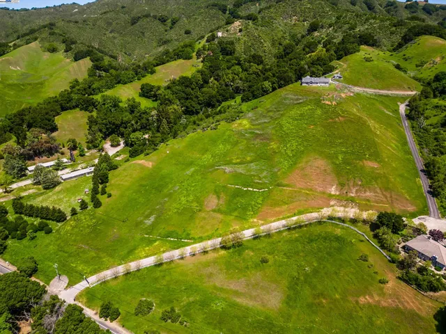 a view of a lush green space