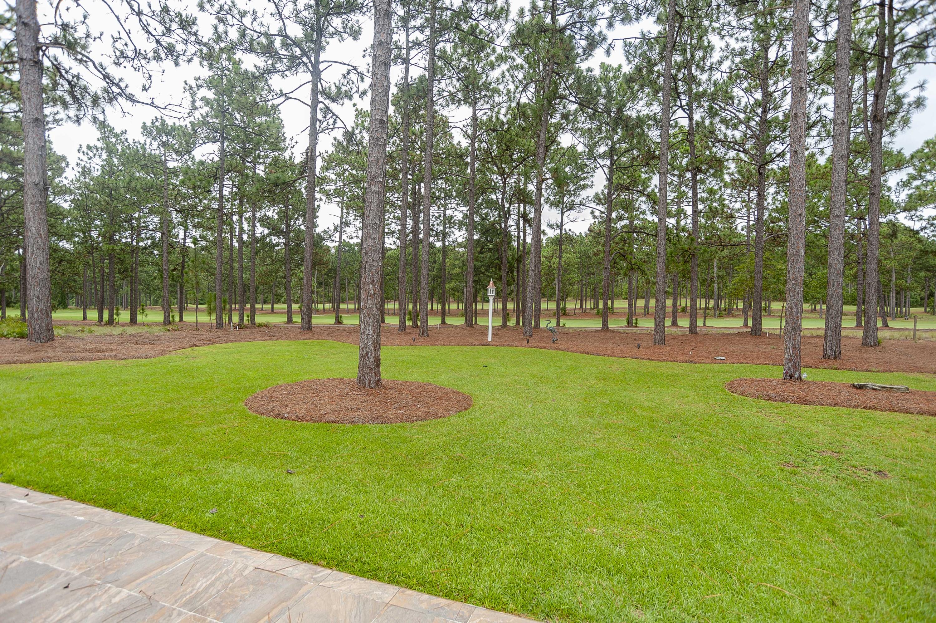 180 Warren Lake Road Aberdeen, NC 28315 - Photo 52 of 54 Backyard View