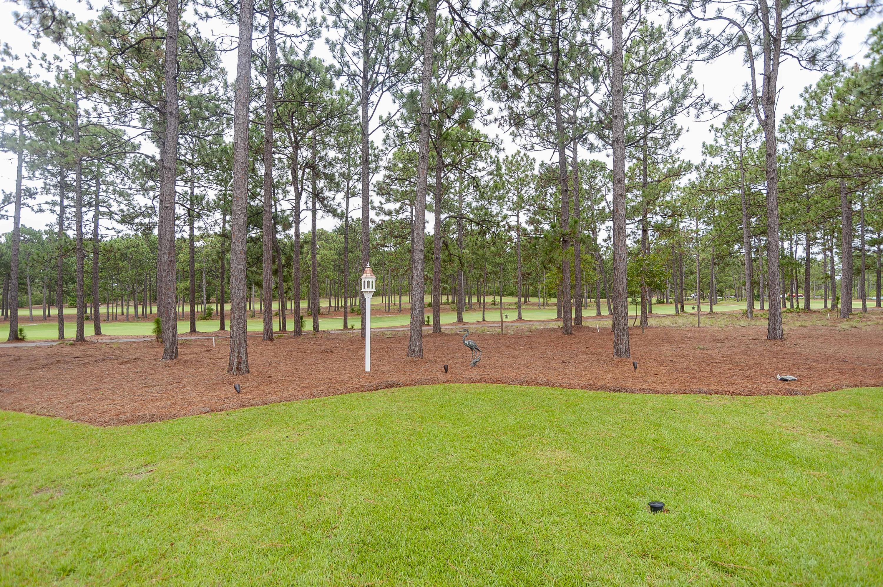 180 Warren Lake Road Aberdeen, NC 28315 - Photo 53 of 54 Backyard View