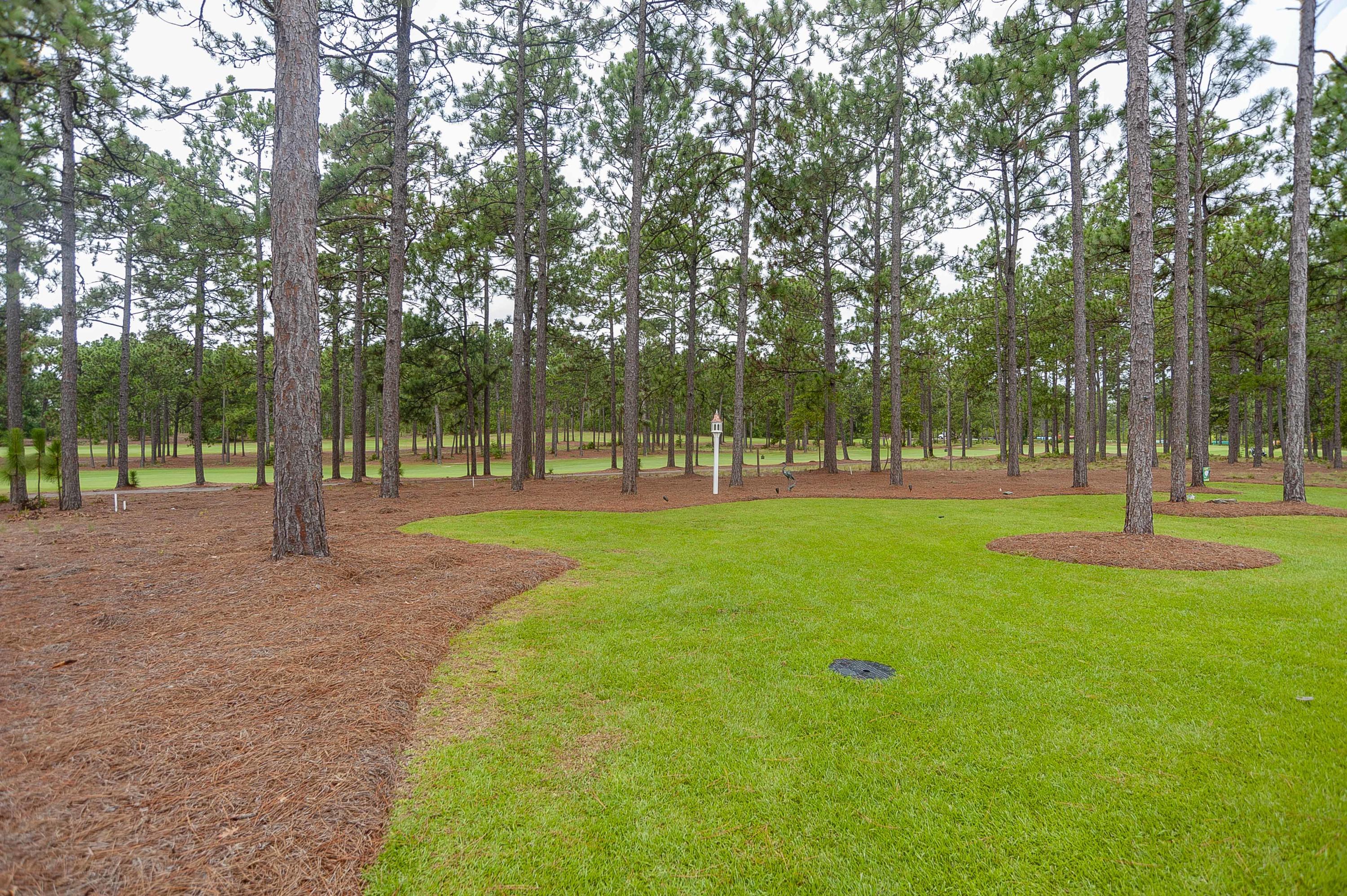 180 Warren Lake Road Aberdeen, NC 28315 - Photo 54 of 54 Backyard View