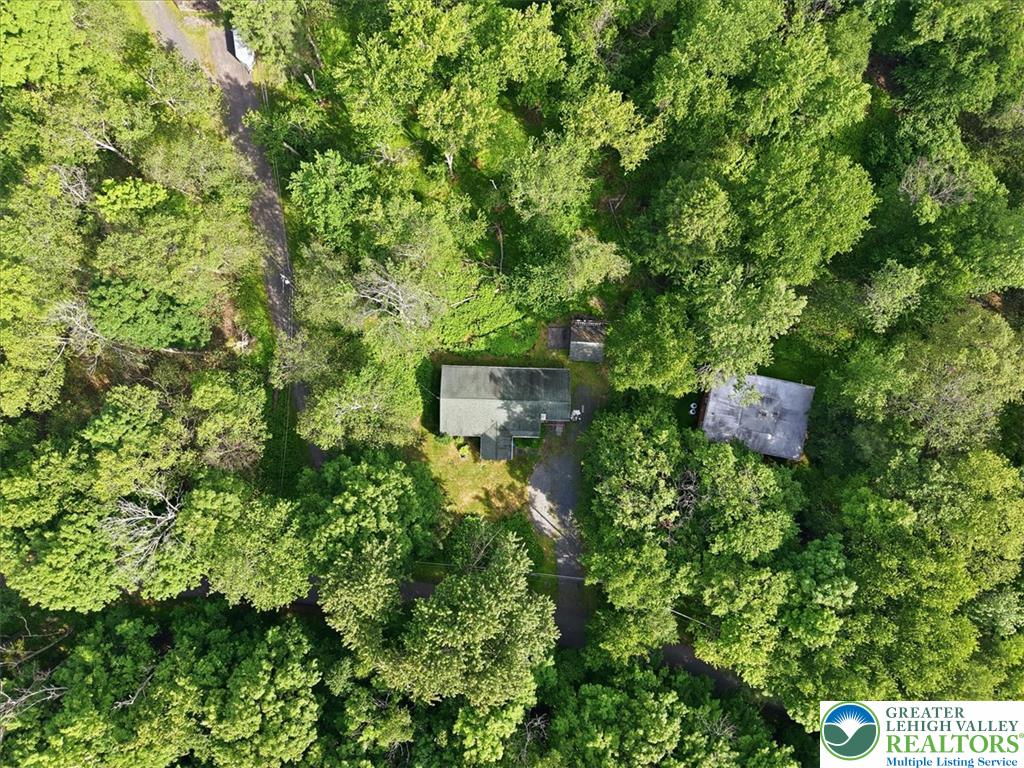 143 Logger Road Canadensis, PA 18325 - Photo 23 of 32 Secluded dwelling amidst a vibrant, mature tree canopy, offering ultimate privacy.