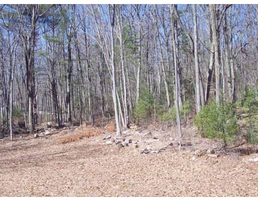 40 Allen Road Belchertown, MA 01007 - Photo 6 of 30 Gallery Image 6