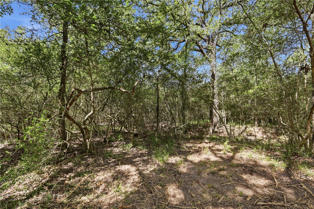 Tbd Grassbur Road Bryan, TX 77808 - Photo 7 of 18