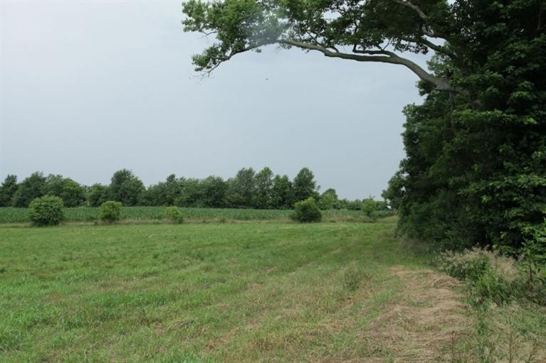 3500 Lexington Road Versailles, KY 40383 - Photo 20 of 22 Photo 20