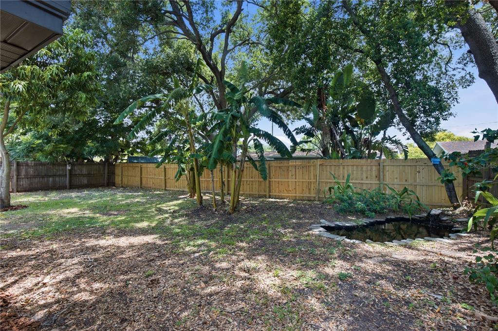 1199 Keene Road Dunedin, FL 34698 - Photo 27 of 30