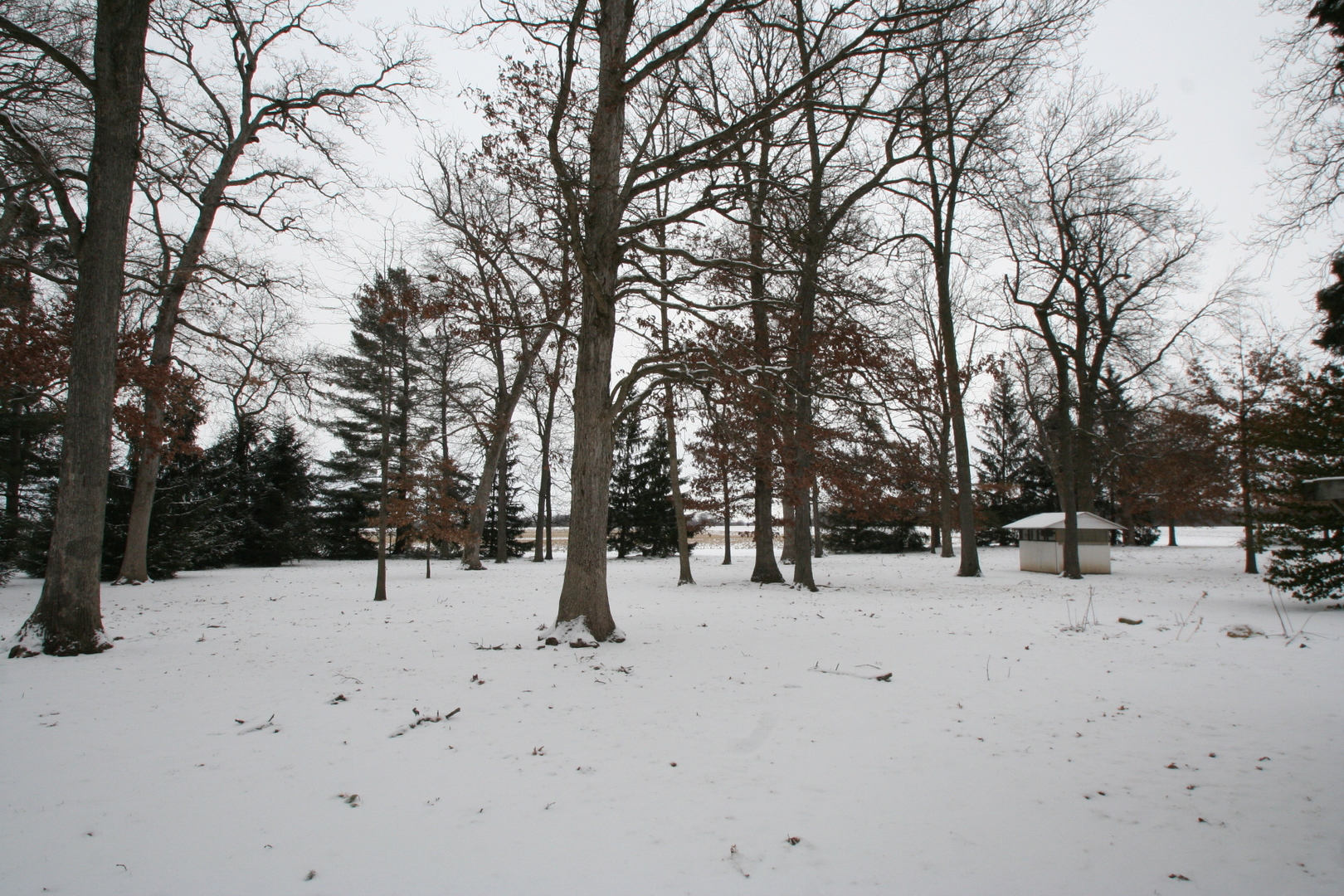 28224 Kentuckiana Road Mackinaw, IL 61755 - Photo 4 of 24