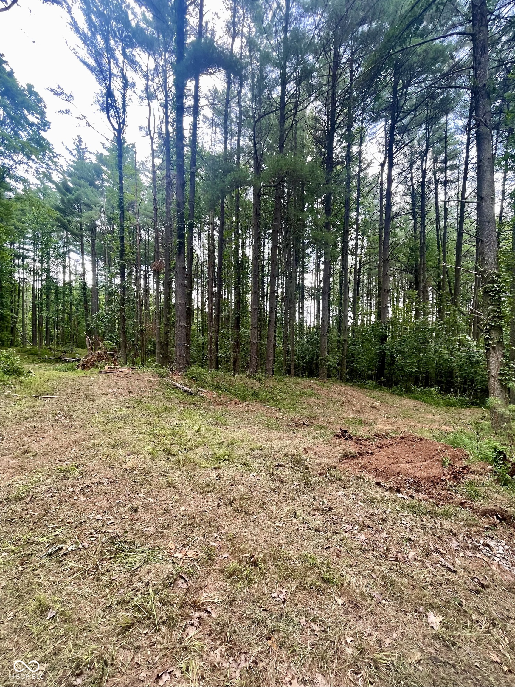 7288 South Becks Grove Road Freetown, IN 47235 - Photo 4 of 8