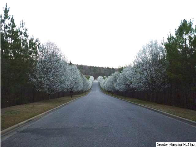 4144 Forest Lakes Road Sterrett, AL 35147 - Photo 16 of 16