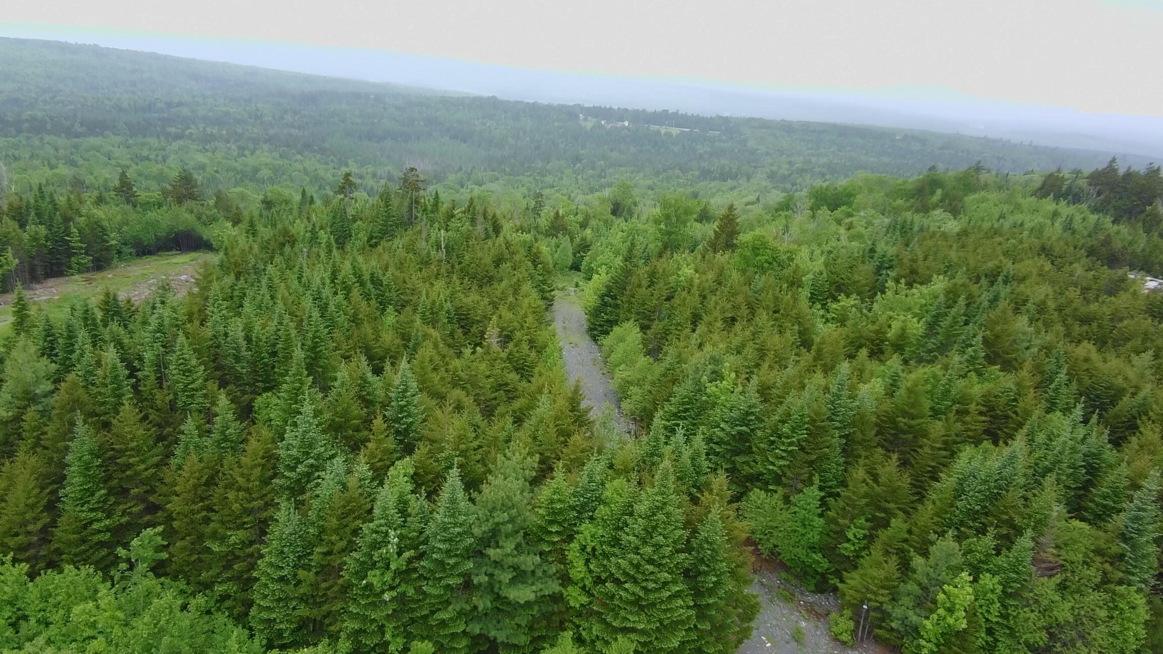 14 Alpine Ridge Greenville, ME 04441 - Photo 4 of 25 3949500_100DRONE_SING0447