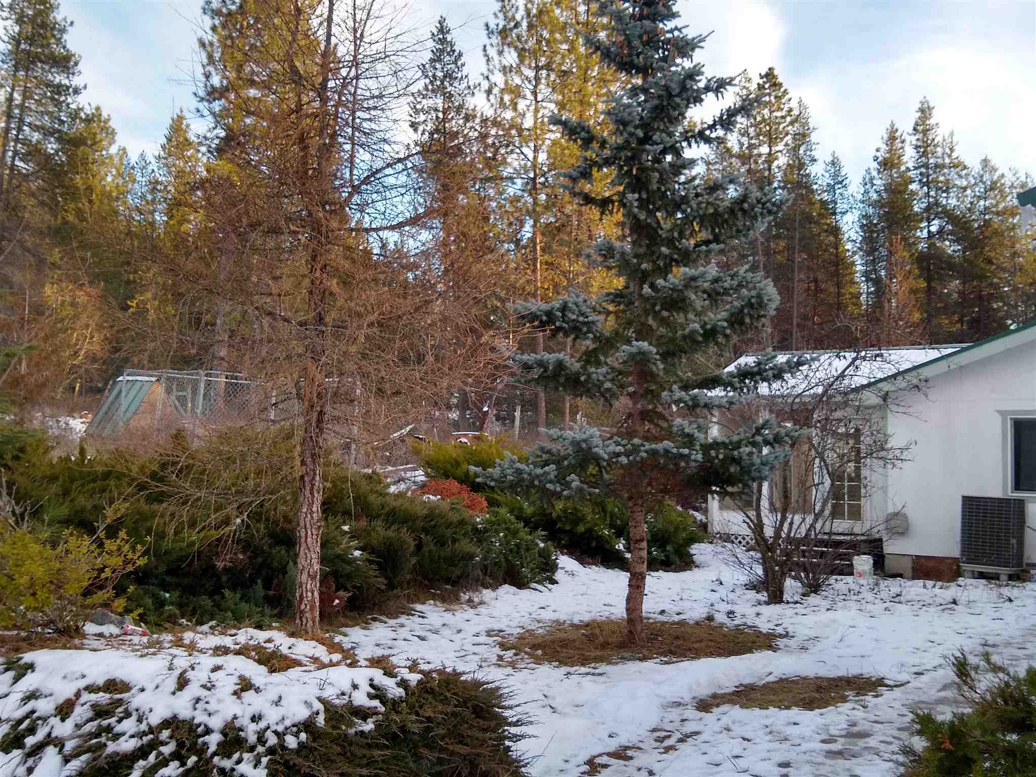 377 Spring Valley Road Newport, WA 99156 - Photo 2 of 14 Gallery Image 2