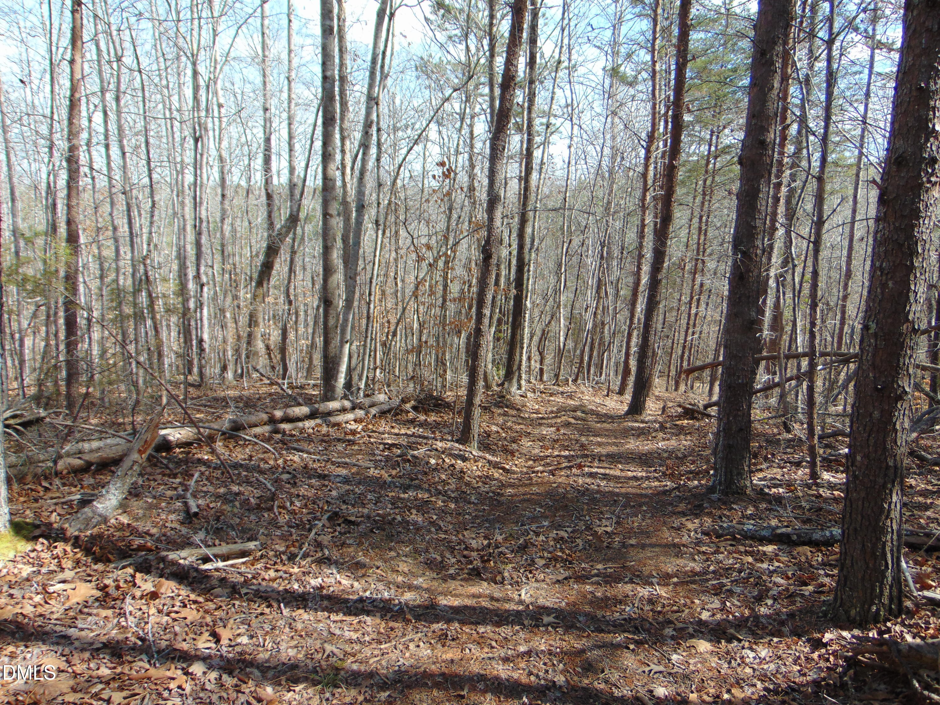 0 Park Springs Road Providence, NC 27315 - Photo 30 of 46 DSC01379