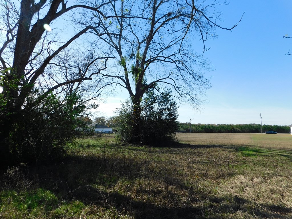 0 Airport Road Slocomb, AL 36375 - Photo 7 of 8