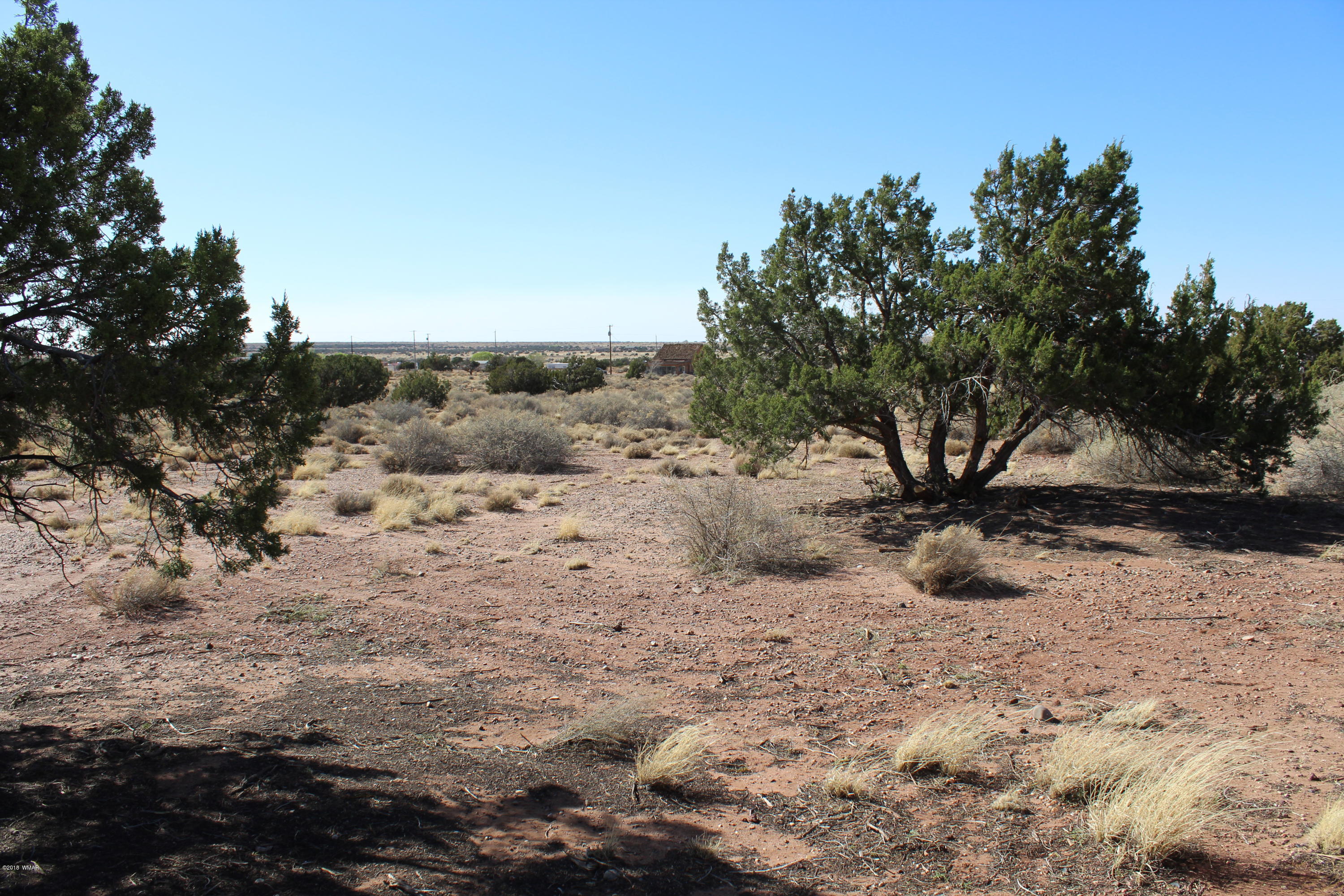 4714 Valley Road Snowflake, AZ 85937 - Photo 24 of 27 a view of a dry yard with trees