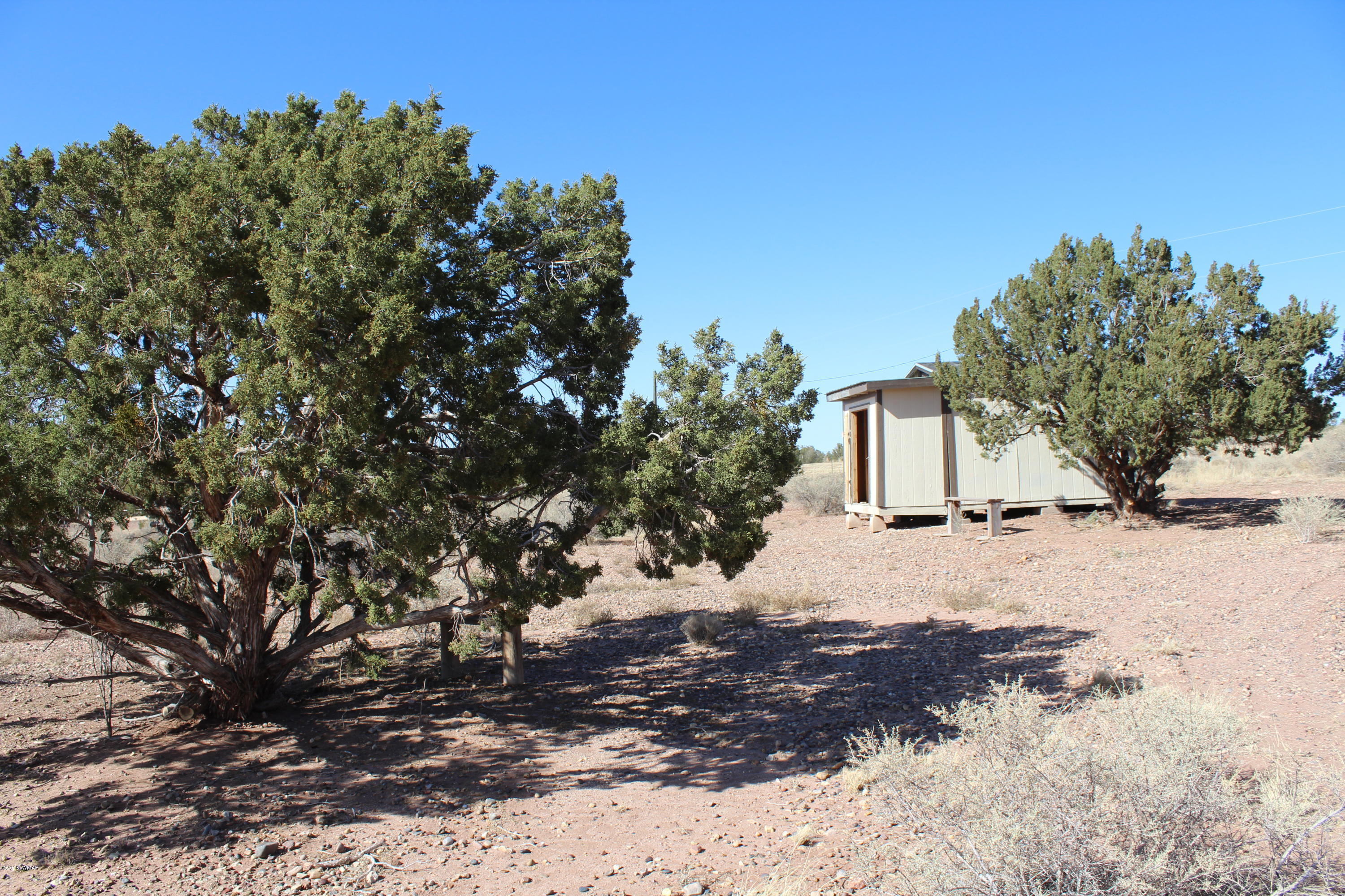 4714 Valley Road Snowflake, AZ 85937 - Photo 25 of 27 a view of a yard with trees