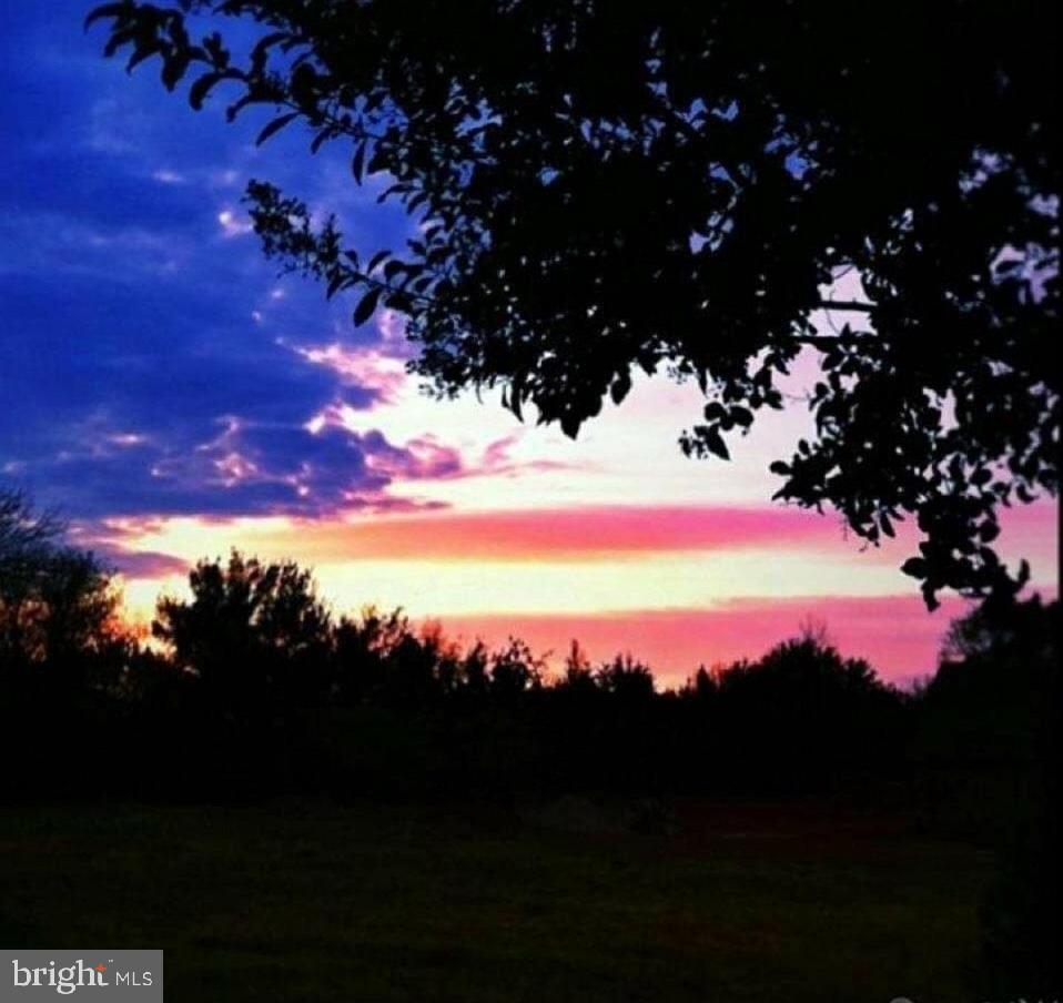 203 Lehigh Road South Glassboro, NJ 08028 - Photo 33 of 33 Stunning sunset views over the orchard!