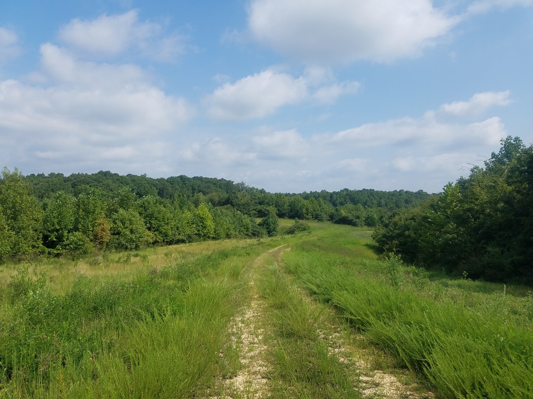 0 Keel Hollow Road Dover, TN 37058 - Photo 3 of 6 Gallery Image 3