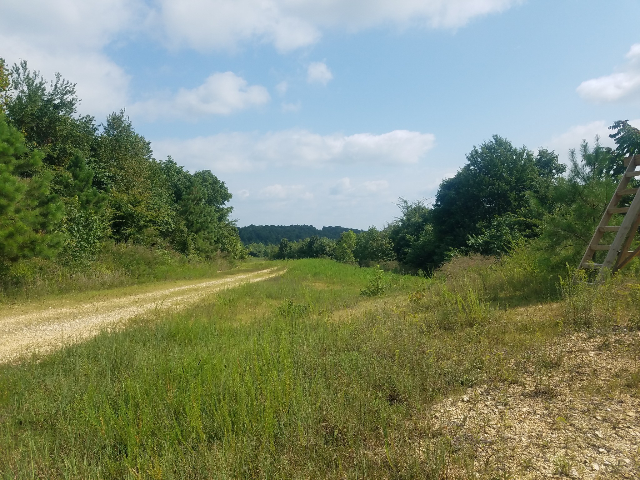 0 Keel Hollow Road Dover, TN 37058 - Photo 4 of 6 Gallery Image 4