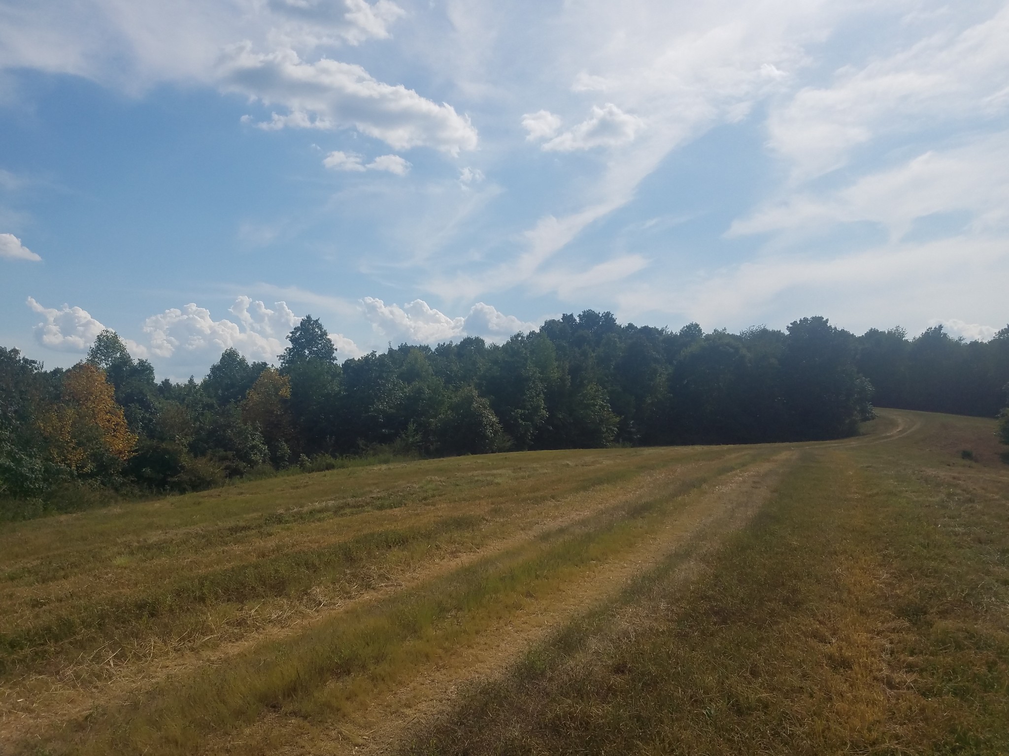 0 Keel Hollow Road Dover, TN 37058 - Photo 5 of 6 Gallery Image 5