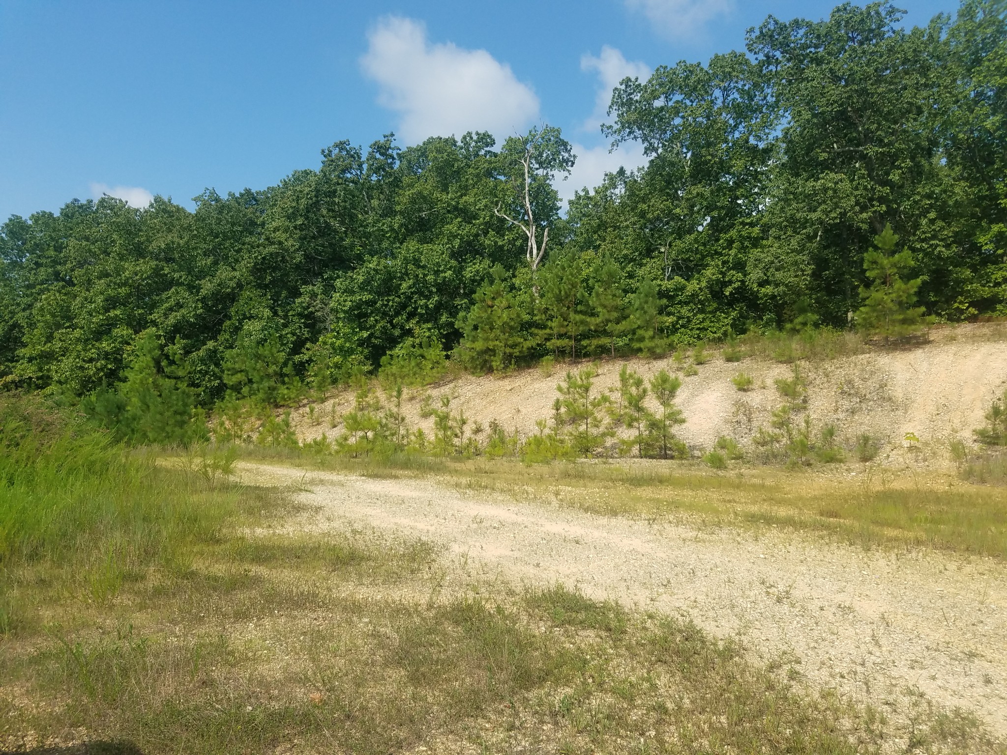 0 Keel Hollow Road Dover, TN 37058 - Photo 6 of 6 Gallery Image 6